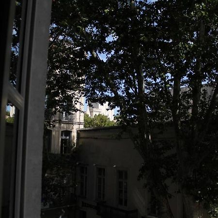 אביניון Appartement Rue Carnot מראה חיצוני תמונה