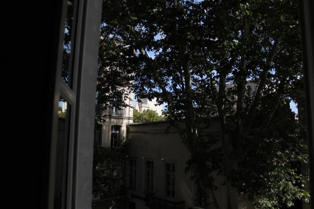אביניון Appartement Rue Carnot מראה חיצוני תמונה